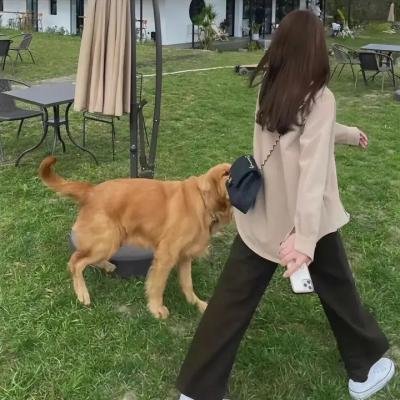 娇妻芳龄几许